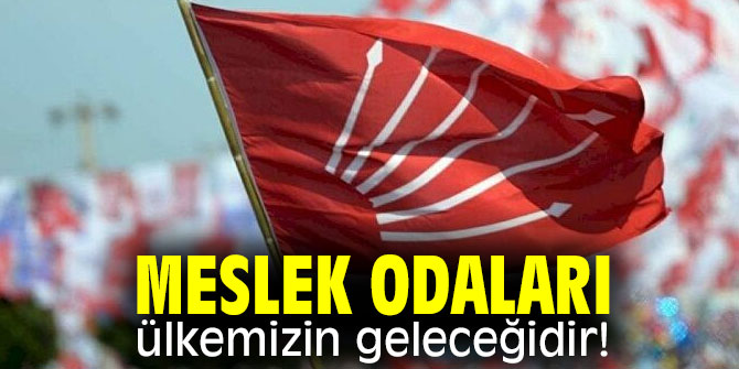 Meslek odaları ülkemizin geleceğidir!