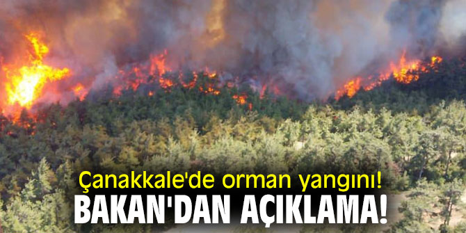 Çanakkale'de orman yangını