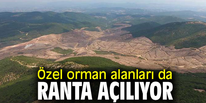 Özel orman alanları da ranta açılıyor
