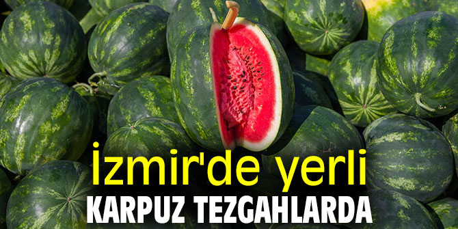 İzmir'de yerli karpuz tezgahlarda