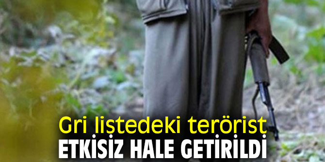 Gri listedeki terörist etkisiz hale getirildi