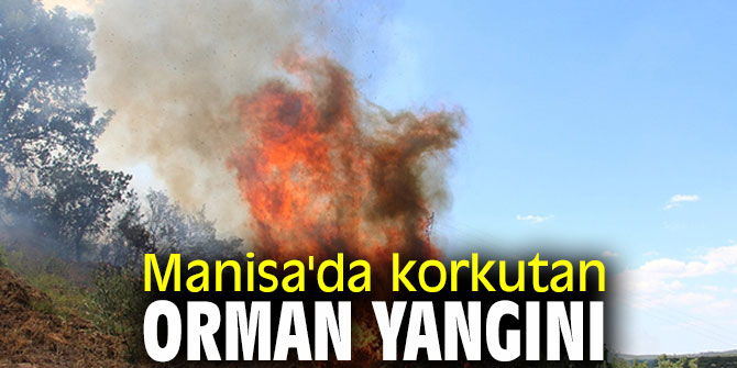 Manisa'da korkutan orman yangını