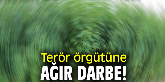 Terör örgütüne ağır darbe!