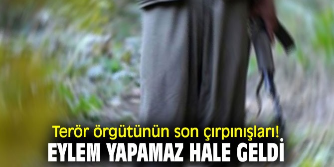 Terör örgütünün son çırpınışları! Eylem yapamaz hale geldi
