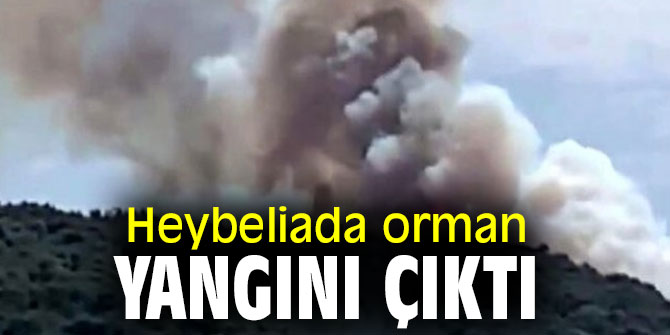 Heybeliada orman yangını çıktı