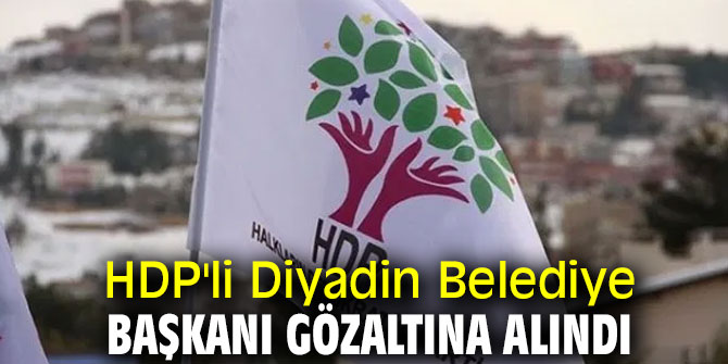 HDP'li Belediye Başkanı gözaltına alındı!