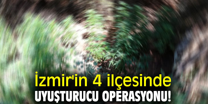 İzmir'in 4 ilçesinde uyuşturucu operasyonu!