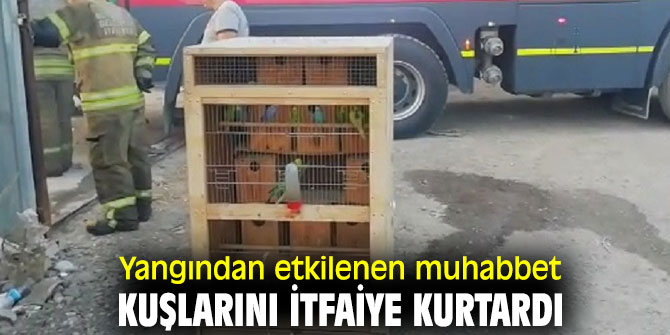 İzmir'deki yangından etkilenen muhabbet kuşlarını itfaiye kurtardı