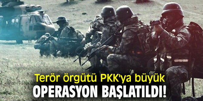 Terör örgütü PKK'ya büyük operasyon başlatıldı!