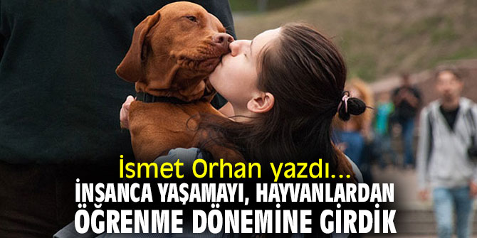 "İnsanca yaşamayı, hayvanlardan öğrenme dönemine girdik" İsmet Orhan yazdı! 