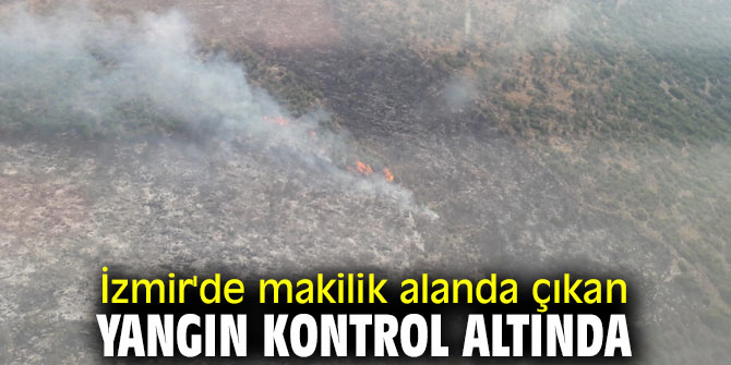 İzmir'de makilik alanda çıkan yangın kontrol altına alındı!