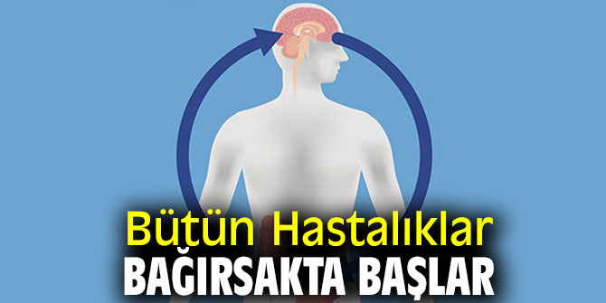 Dikkat! Bütün Hastalıklar Bağırsakta Başlar