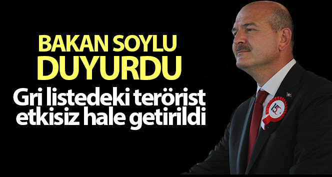Gri listedeki terörist etkisiz hale getirildi