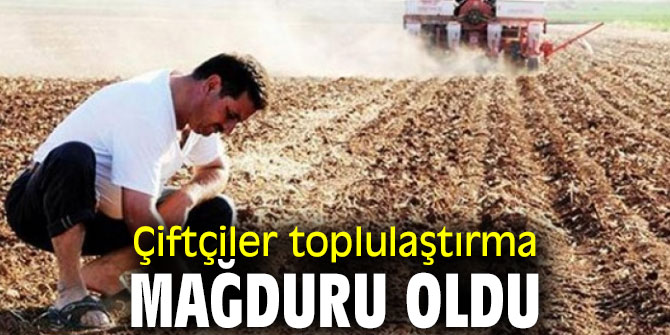 Çiftçiler toplulaştırma mağduru oldu 