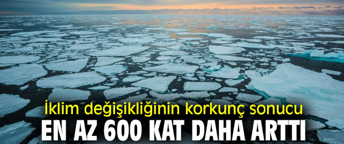 İklim değişikliğinin korkunç sonucu açıklandı! 