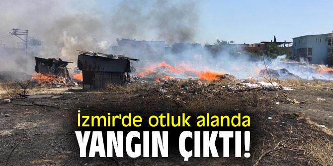 İzmir'de otluk alanda yangın çıktı!