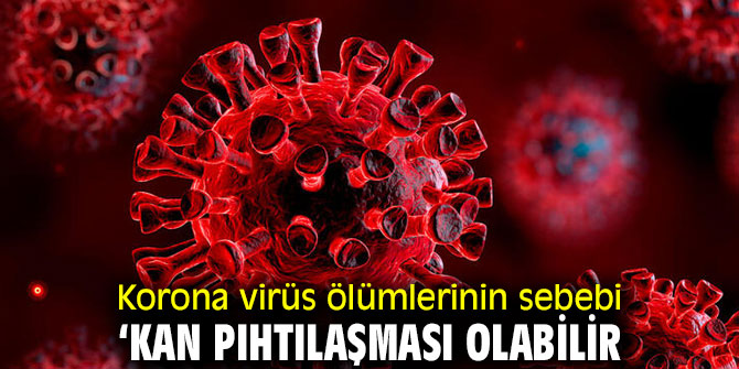 Dikkat! Korona virüs ölümlerinin sebebi ‘kan pıhtılaşması’ olabilir