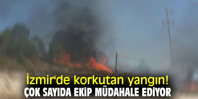 İzmir'de korkutan yangın! çok sayıda ekip müdahale ediyor