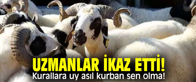 Kurallara uy asıl kurban sen olma!