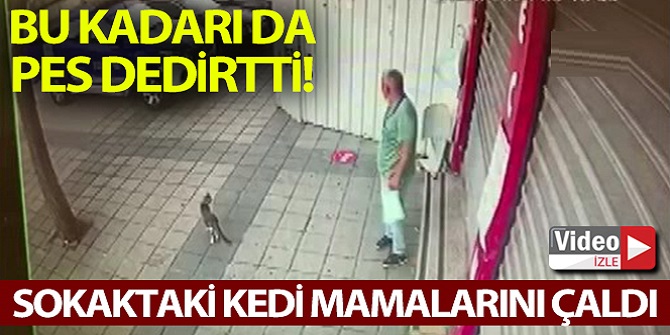 Mamaları çaldığı anlar güvenlik kameralarına yansıdı.