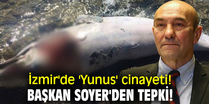 İzmir'de 'Yunus' cinayeti!