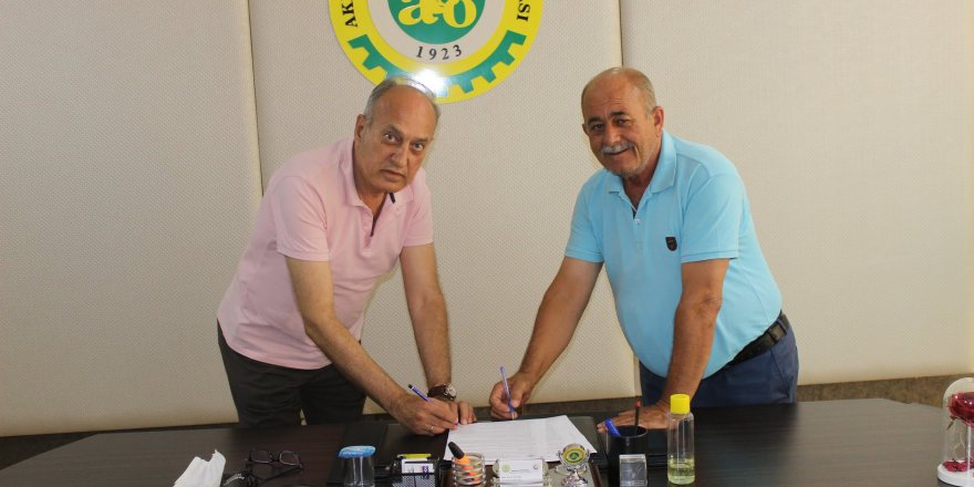 Akhisar Uslu ve Domat türü zeytinlerinin coğrafi işaret kullanımı artıyor