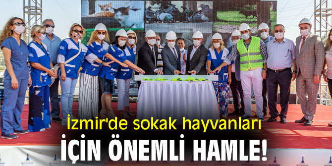 İzmir'de sokak hayvanları için önemli hamle!