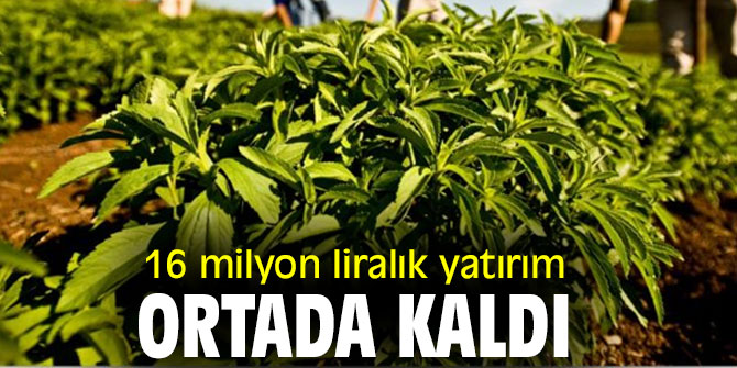 16 milyon liralık yatırım ortada kaldı