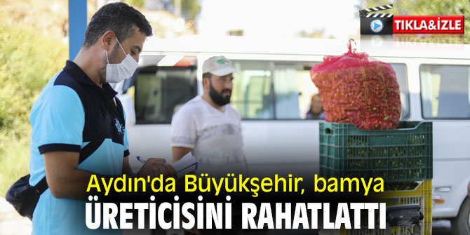 Aydın'da Büyükşehir, bamya üreticisini rahatlattı