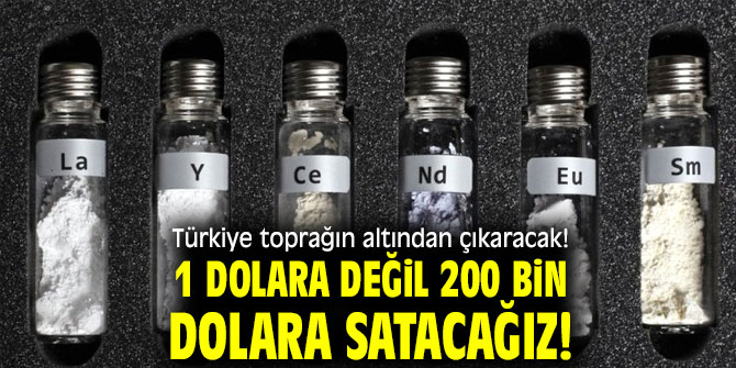 1 dolara değil 200 bin dolar!