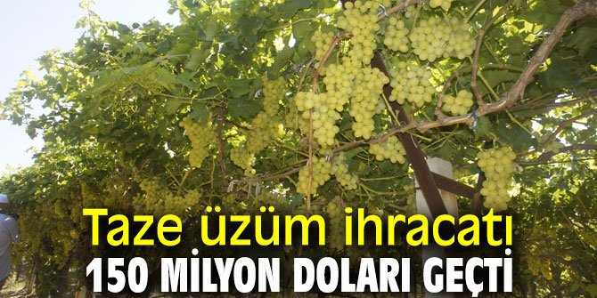 Taze üzüm ihracatı 150 milyon doları geçti