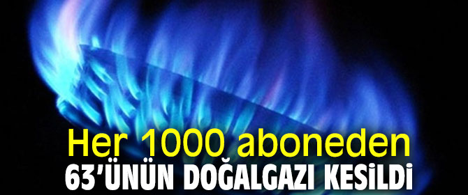 Gürer, "Her 1000 aboneden 63’ünün doğalgazı kesildi"