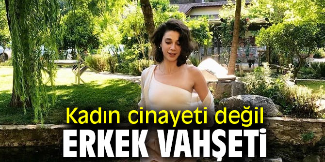 Kadın cinayeti değil, erkek vahşeti