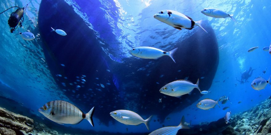 Medya ve Fotoğraf Yarışması sonuçlandı