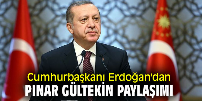 Cumhurbaşkanı Erdoğan'dan Pınar Gültekin paylaşımı