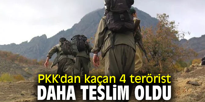 4 terörist daha teslim oldu