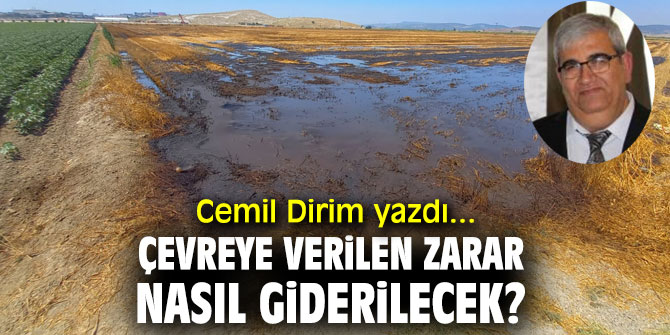 “Çevreye verilen zarar nasıl giderilecek?” Cemil Dirim yazdı...