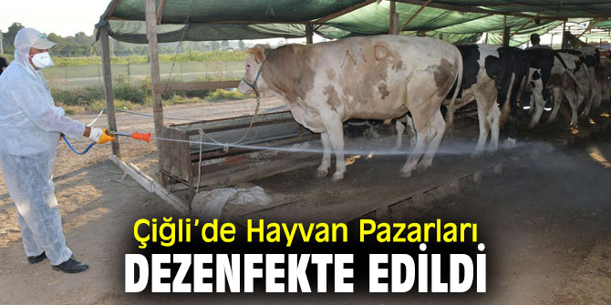 Çiğli’de Hayvan Pazarları Dezenfekte Edildi