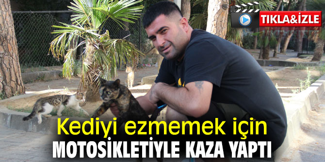İzmir'de bir kişi kediyi ezmemek için motosikletiyle kaza yaptı