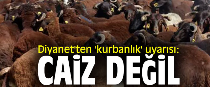 Diyanet'ten 'kurbanlık' uyarısı!