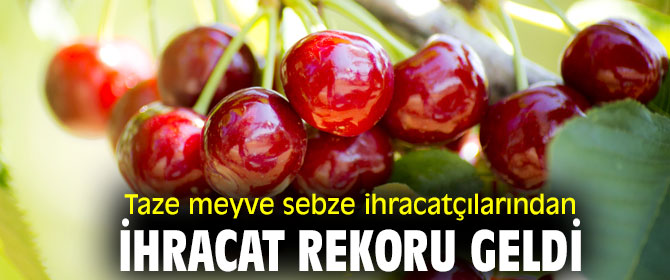 Taze meyve sebze ihracatçılarından ihracat rekoru geldi