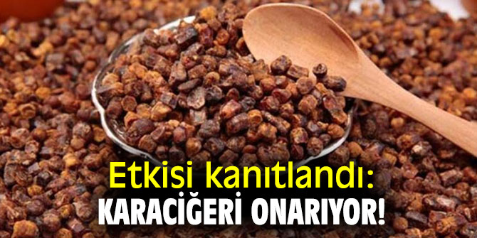 Dikkat! Karaciğeri onarıyor!