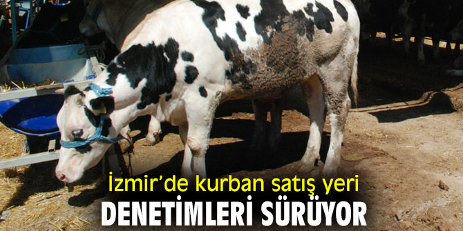  İzmir’de kurban satış yeri denetimleri devam ediyor!