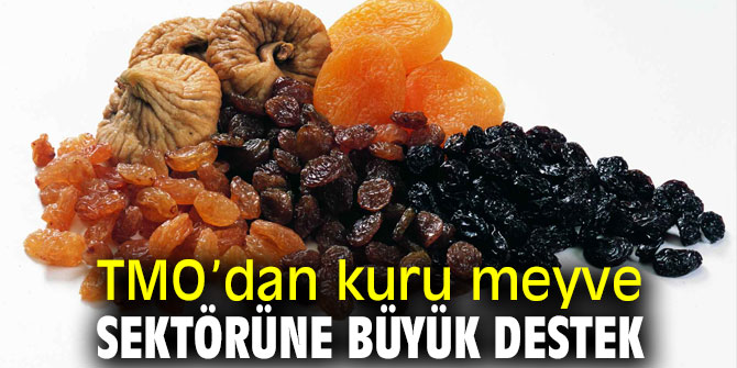 TMO’dan kuru meyve sektörüne büyük destek