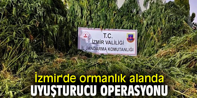 İzmir'de uyuşturucu operasyonu