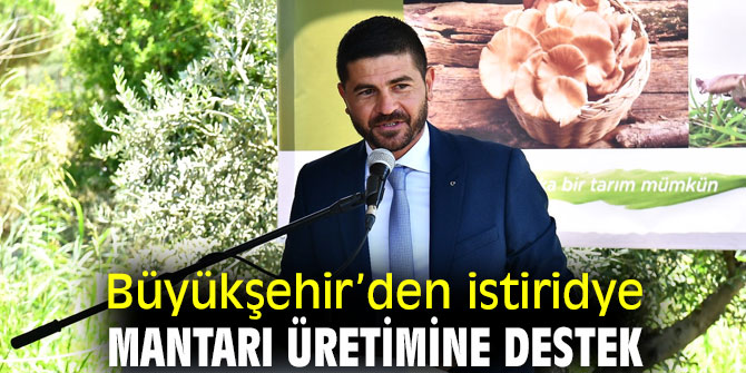 Büyükşehir istiridye mantarı üretimine destek veriyor!