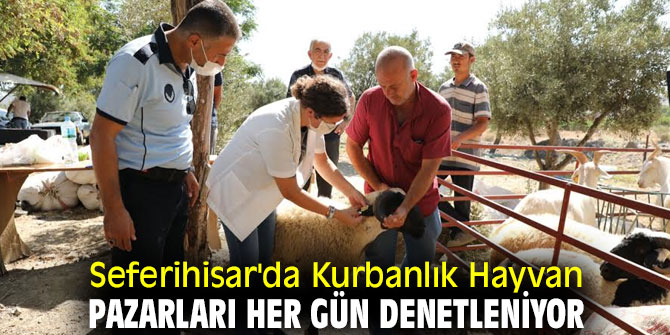 Seferihisar'da Hayvan Pazarları denetleniyor!