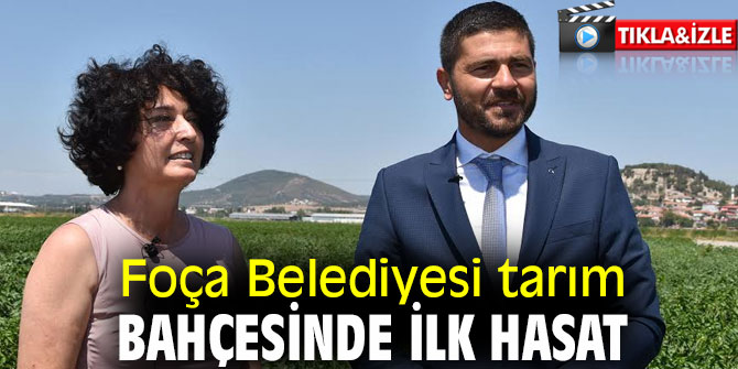 Foça Belediyesi tarım bahçesinde ilk hasat gerçekleşti!