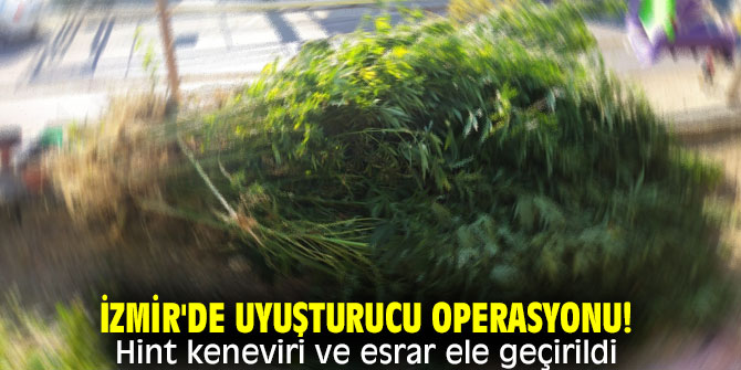 İzmir'de uyuşturucu operasyonu! Hint keneviri ve esrar ele geçirildi