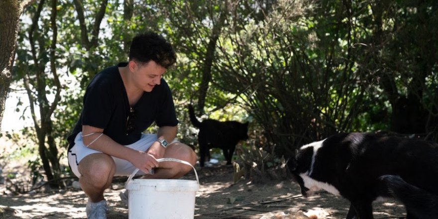 Burak Güngör'den can dostlar çağrısı!